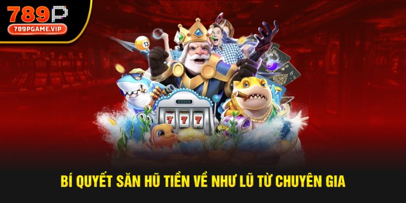 Bí quyết săn hũ cực chất từ chuyên gia hàng đầu